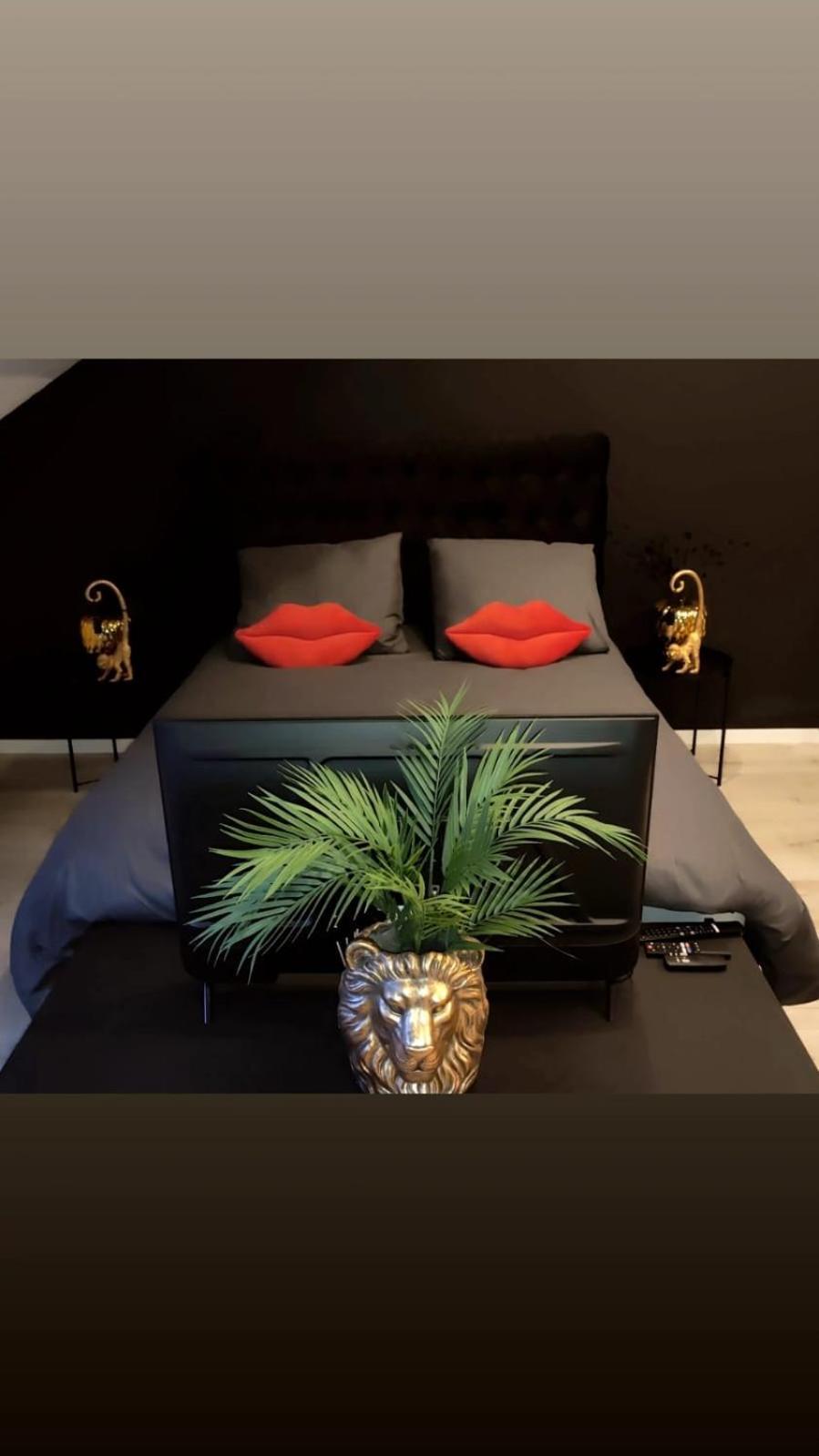 Logement Romantique Et Cosy Charleroi Kültér fotó